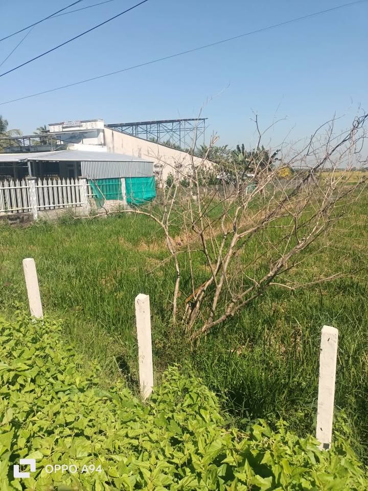 Đất nền Xã Mỹ Quí, Huyện Tháp Mười 1287m² - Giá 900 triệu, Sổ đỏ chính chủ!