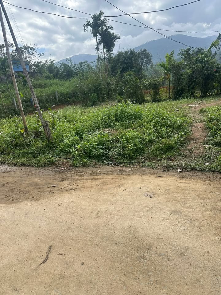 Đất nền xã Ba Đông Giang 4300m² giá 2 tỷ - Cơ hội đầu tư hấp dẫn!