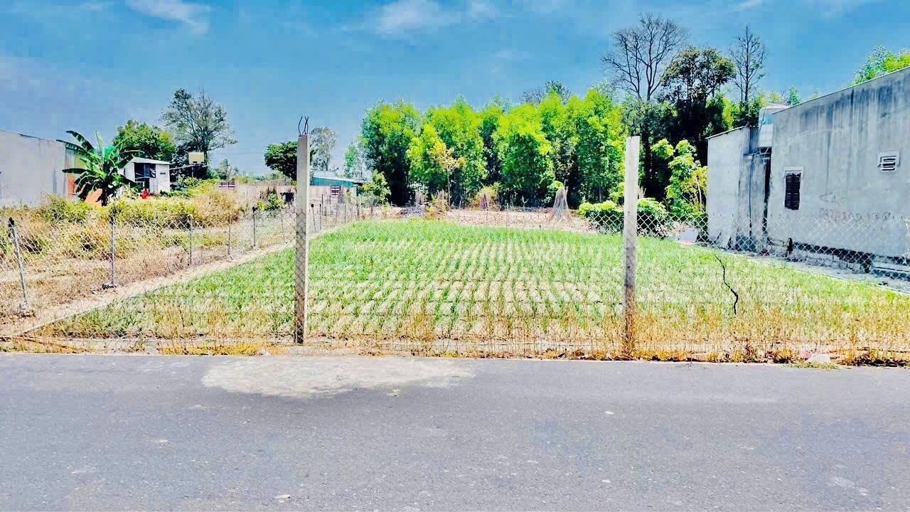 Đất nền Thị trấn Phước Hải 400m² giá 2.4 tỷ - View núi Minh Đạm, gần biển!