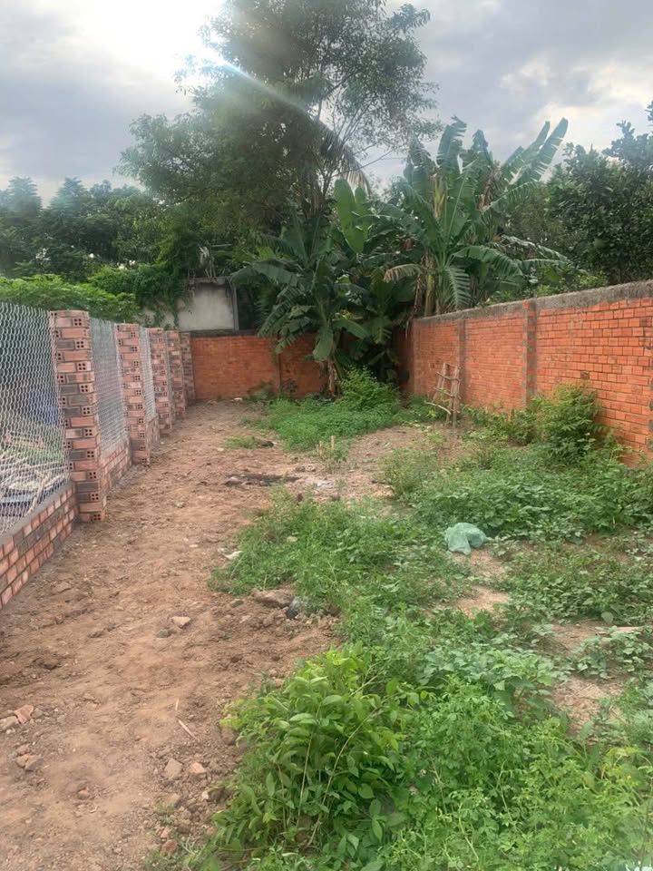 Đất nền 125m² tại Khu phố Hiệp Trường, Tây Ninh - Giá chỉ 750 triệu!