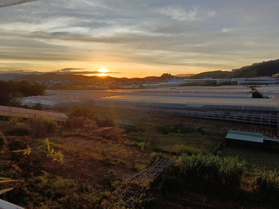 Nhà nguyên căn Đà Lạt 200m² giá thỏa thuận - Không gian yên tĩnh, thích hợp nuôi thú cưng!