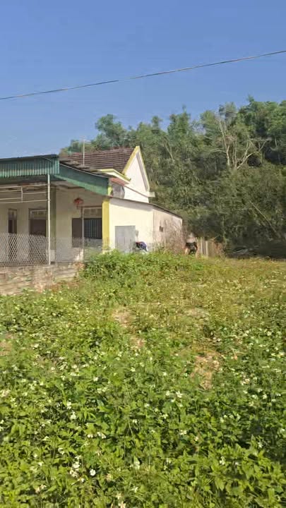 Đất nền xóm 11, xã Diễn Lâm, huyện Diễn Châu, Nghệ An - Diện tích 348m², giá 1 tỷ - Cơ hội đầu tư tuyệt vời!