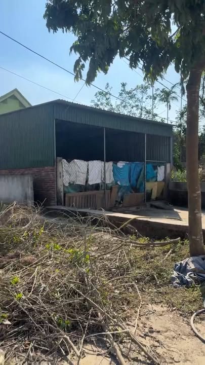 FrontHouse QL46, Huyện Nam Đàn 200m² - Vị trí đắc địa cho đầu tư!