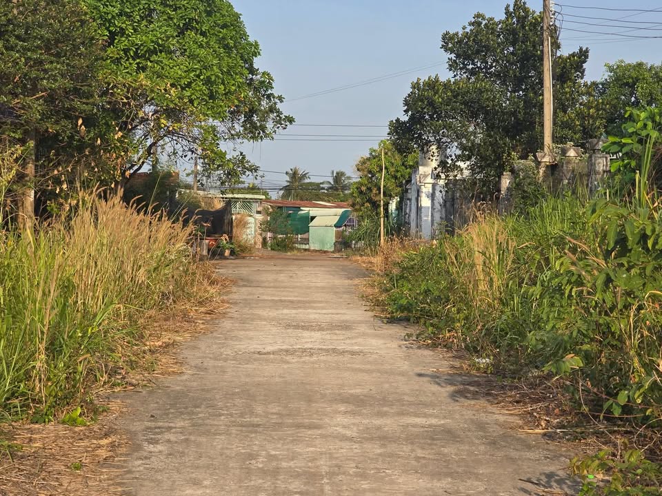 Đất thổ cư 1350m² tại Thị trấn Thanh Bình - Giá chỉ 360 triệu!