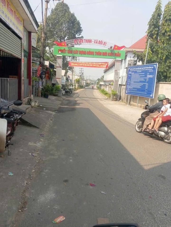 Đất vườn An Viễn 1291m² giá 3 tỷ - Cơ hội đầu tư tuyệt vời!