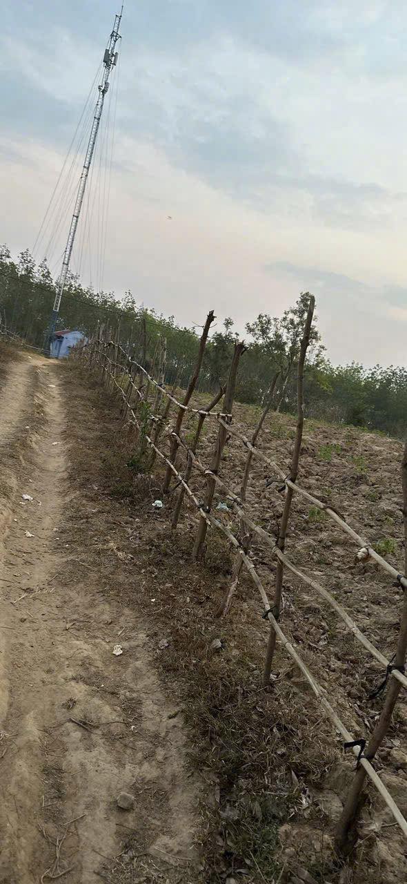 Đất 2 mặt tiền khu công an Đắk Blà 1000m² - Sổ hồng chính chủ giá tốt!