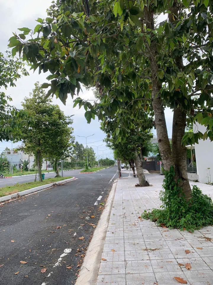 Đất nền Long Xuyên 103.5m² giá 4 tỷ - Đầu tư sinh lời ngay tại vị trí vàng!