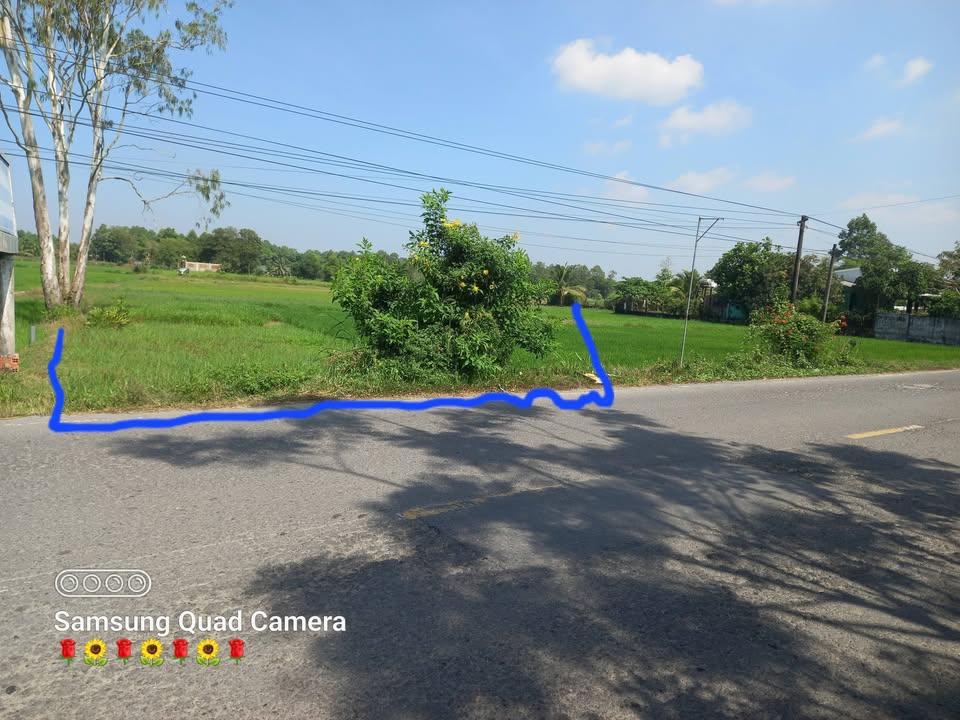 Đất CLN mặt tiền QL54, 290m² giá 800 triệu - Cơ hội đầu tư hấp dẫn!