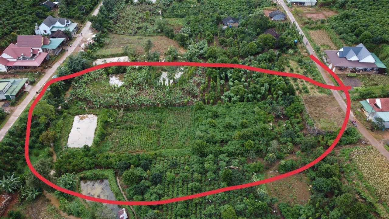 Đất nghỉ dưỡng B'Lá Bảo Lâm 3400m² chỉ 1.95 tỷ - View suối, rừng thông tuyệt đẹp!