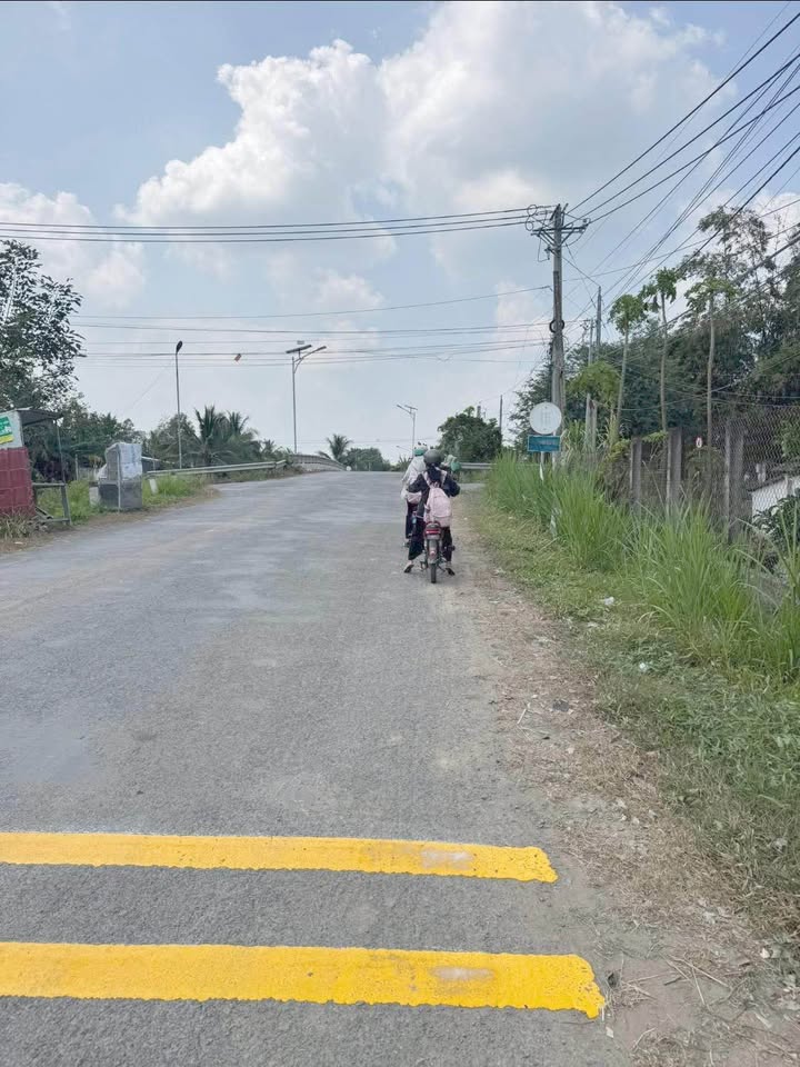 Đất nông nghiệp 6200m² tại Châu Thành, Trà Vinh - Giá tốt, thích hợp lên vườn!