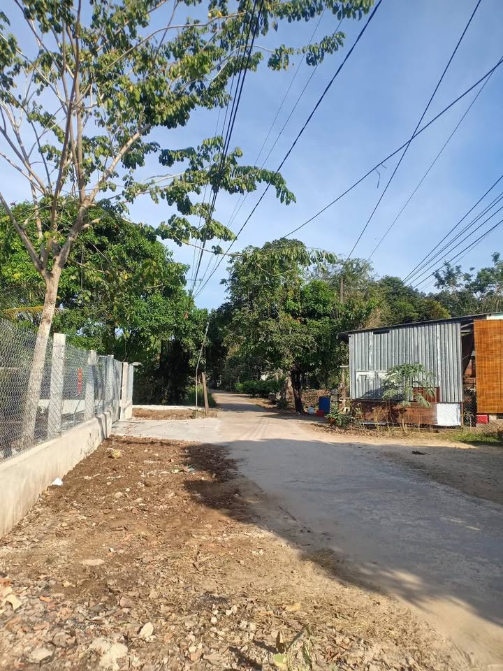 Nhà ấp KP8 An Sơn 800m² giá thỏa thuận - Lý tưởng nghỉ dưỡng, câu cá!