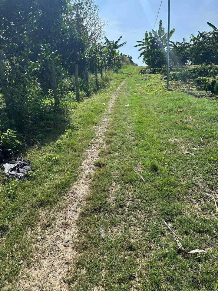 Đất nền thôn 12, xã Lộc Thành, 200m² giá 1.6 tỷ - Đầu tư sinh lời ngay!