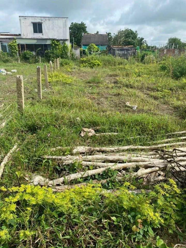 Đất thổ cư Phường 5, Thành phố Tân An 120m² giá 1.15 tỷ - Vị trí đắc địa, thông tứ hướng!