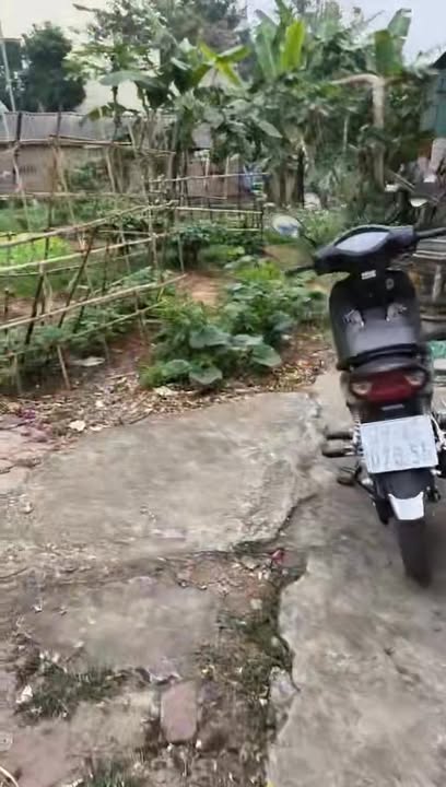 Đất nền nghỉ dưỡng tại Kiều Phú 513m² giá 15.4 tỷ - Đầu tư sinh lời ngay!