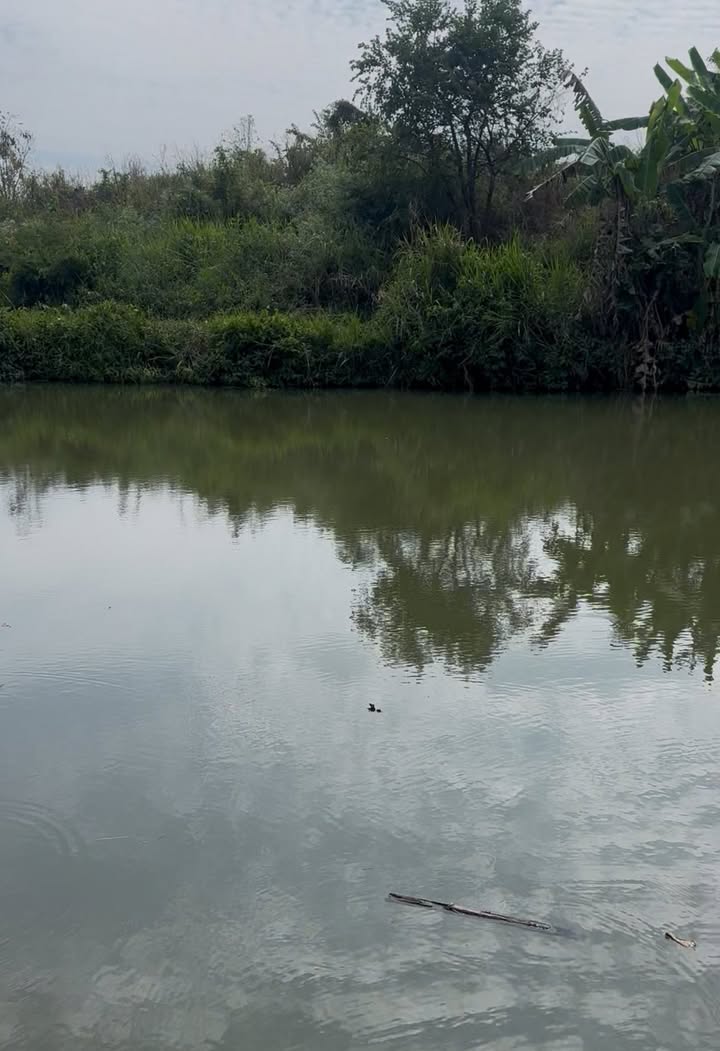 Đất nông nghiệp 45,000m² tại Xã Sông Ray, Huyện Cẩm Mỹ - Cơ hội đầu tư hấp dẫn!