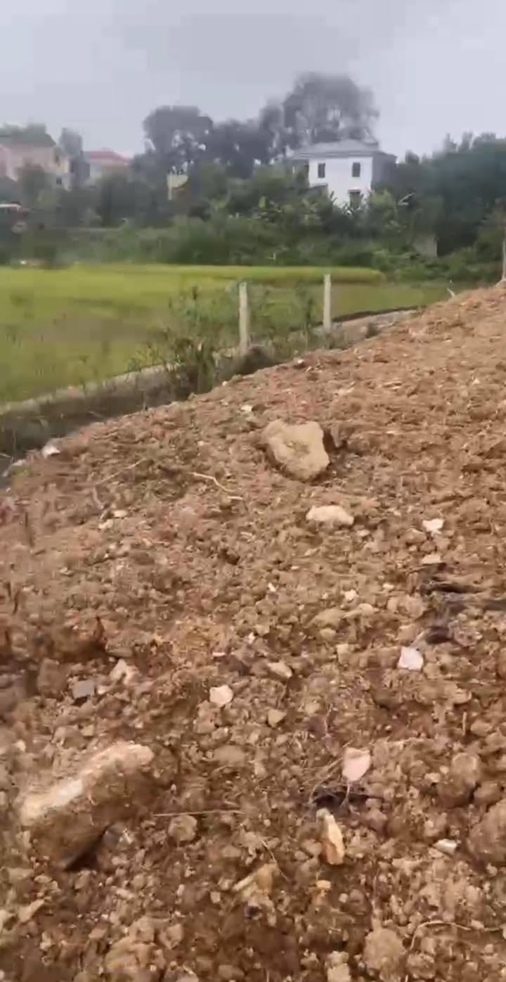 Đất nền Tân Kim 240m² giá 500 triệu - Vị trí đẹp, giao thông thuận lợi!