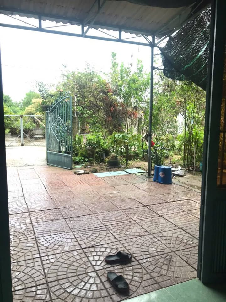 Nhà cấp 4 Trân Khánh Dư, Nghĩa Dõng 200m² giá 1.2 tỷ - Vườn trái cây mini hấp dẫn!