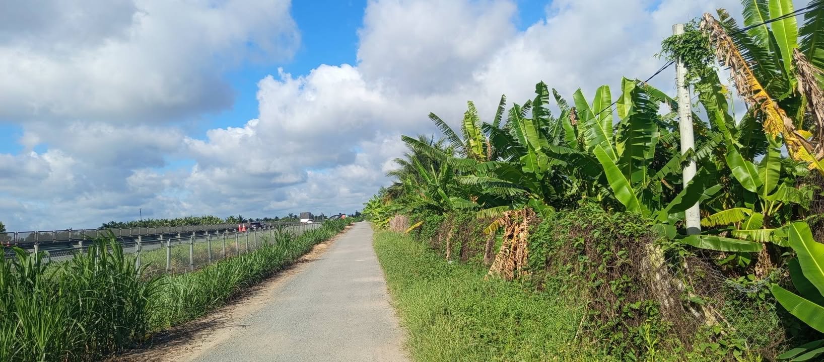 Đất mặt tiền xã Phước Lập, Tân Phước 2400m² giá 1.6 tỷ - Đầu tư sinh lời ngay!