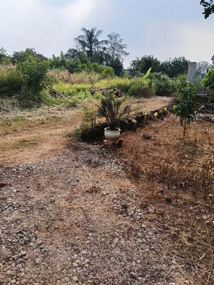 Nhà cấp 4 tại xã Hưng Thịnh, Trảng Bom 324m² giá chỉ 460 triệu - Cơ hội đầu tư tuyệt vời!