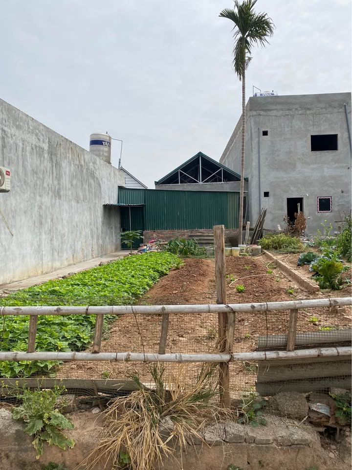 Đất Ninh Môn, Sóc Sơn, Hà Nội 80m² giá 2 tỷ - Cơ hội đầu tư hiếm có!