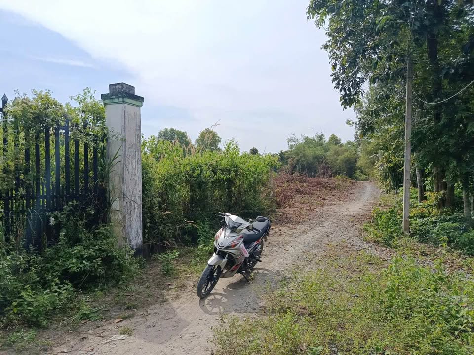 Đất nền Hòa Lợi Trảng Bàng 413m² giá chỉ 7xx triệu - Cơ hội đầu tư lý tưởng!