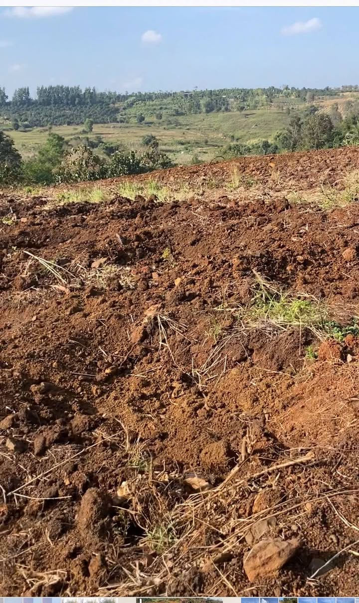 Đất nền Đắk Gằn, Đắk Mil 2.7ha giá chỉ 1.2 tỷ - Tiềm năng đầu tư tuyệt vời!