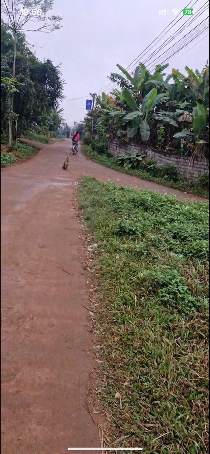 Đất nền Tân Lạc Hòa Bình 1.153m² giá 1.153 tỷ - View núi hồ thoáng mát!