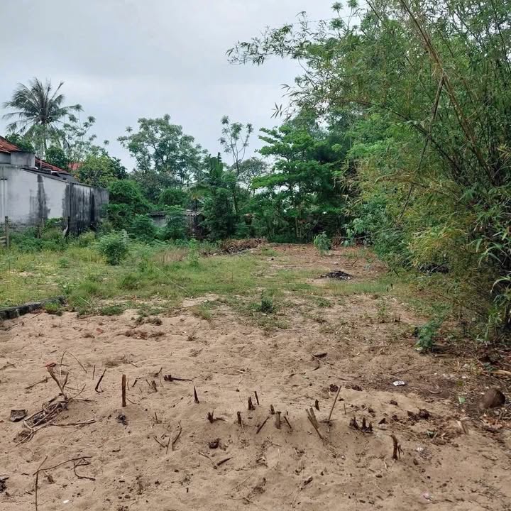 Đất nền Trần Phú, Phường Hòa Hiệp 174m² giá chỉ 1.2 tỷ - Sổ hồng chính chủ, vị trí đắc địa!