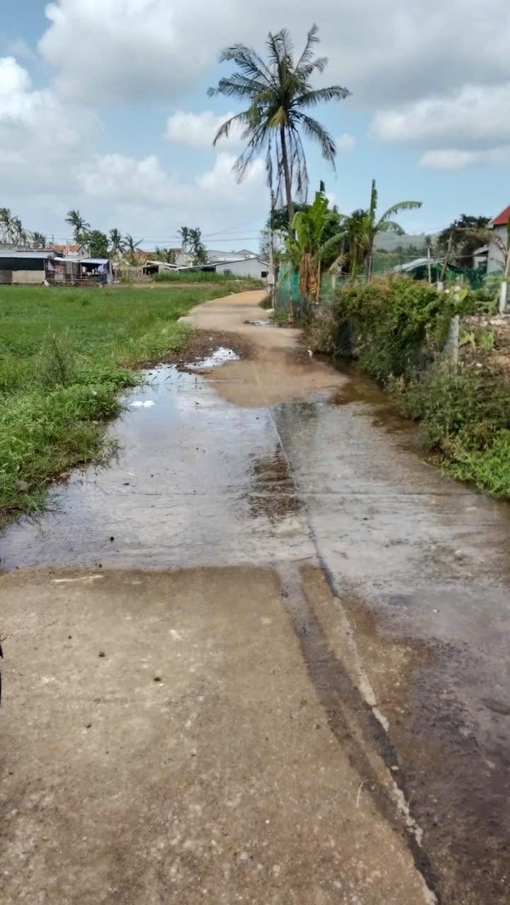 Đất thổ cư An Ninh Đông - Tuy An, 162m² giá 499 triệu - Sổ đỏ chính chủ!