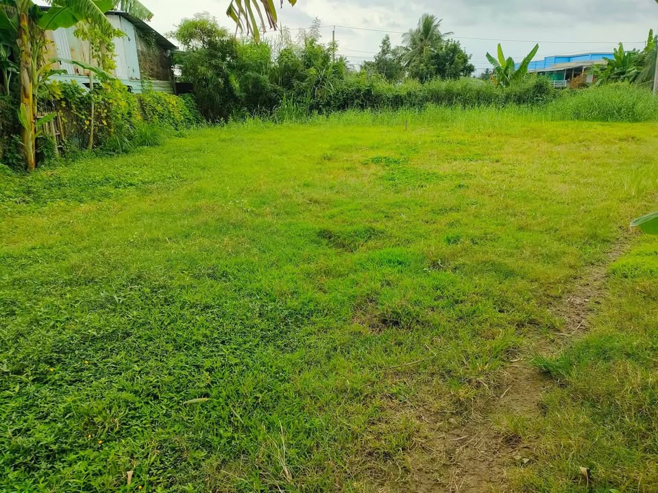 Đất nền 214m² tại Thạnh Phú, Gò Công Tây giá 300 triệu - Nhanh tay sở hữu!