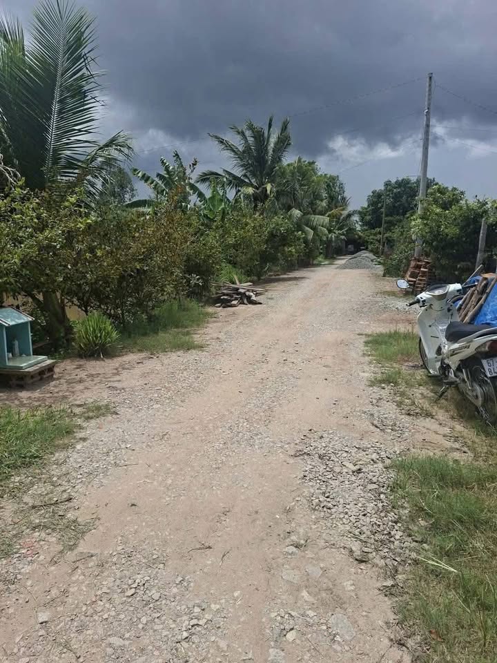 Đất nông nghiệp 52 công, ấp An Thái, An Giang - Giá chỉ 13.5 tỷ, thương lượng sâu!