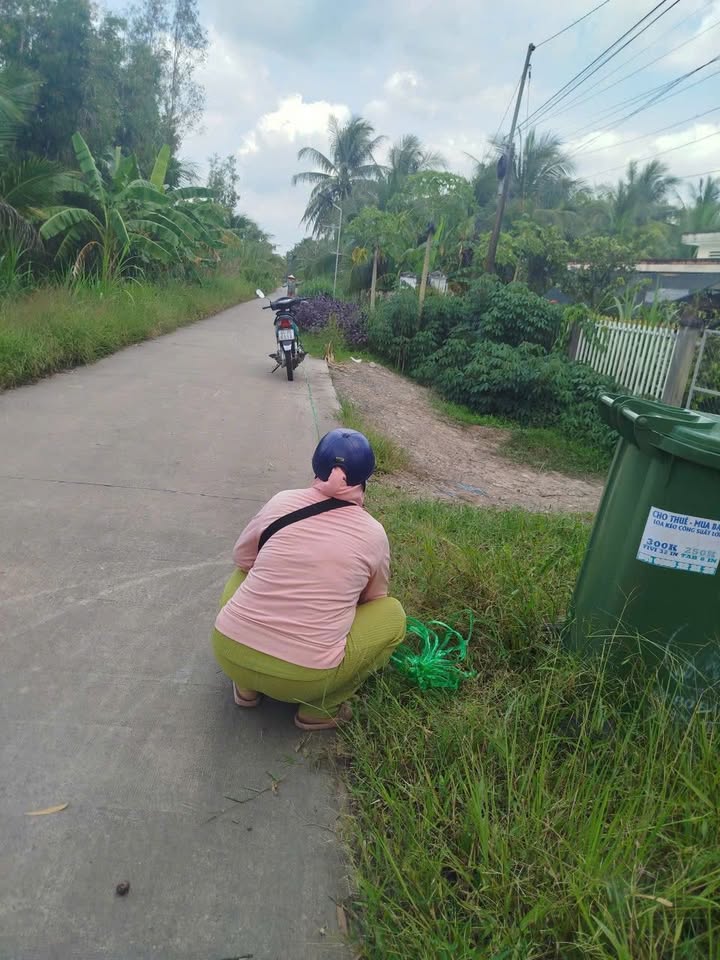 Đất thổ cư 2900m² tại Trung Ngãi, Vũng Liêm - Cơ hội đầu tư tuyệt vời!