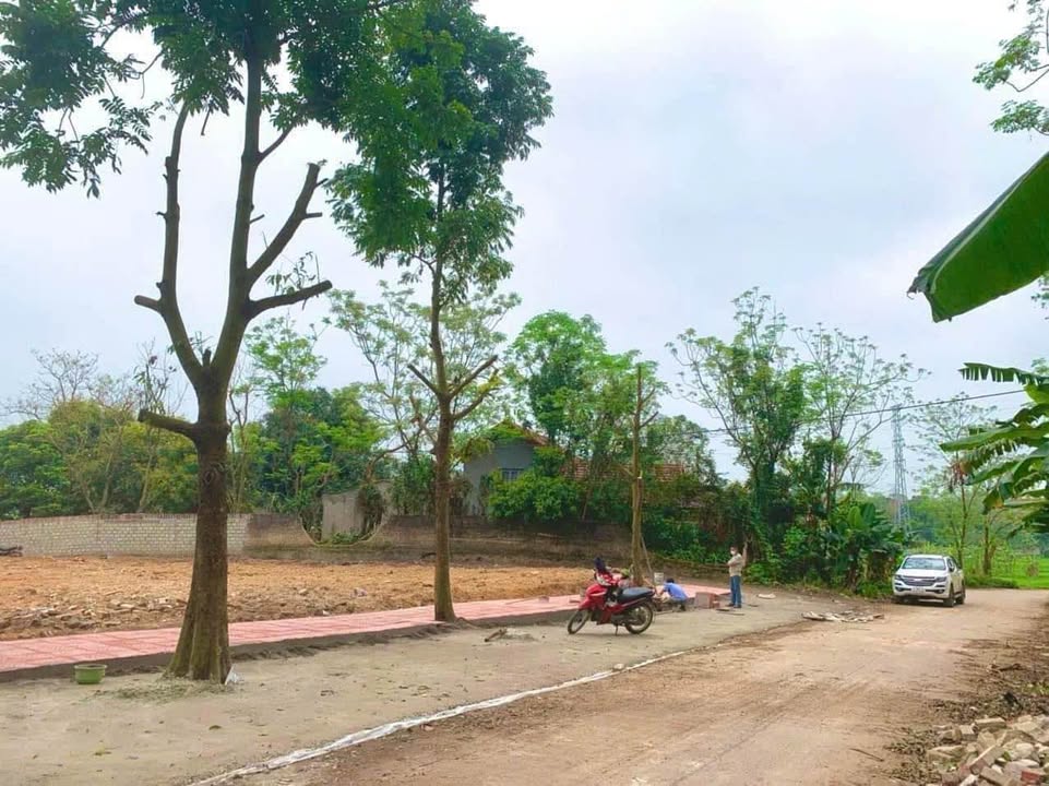 Đất nền Minh Quang Tam Đảo 98m² giá 1.2 tỷ - Lô góc 2 mặt tiền thoáng mát!