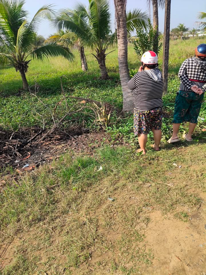 Đất nền Phú Thuận 10.000m² giá 7 tỷ - Cơ hội đầu tư tuyệt vời!