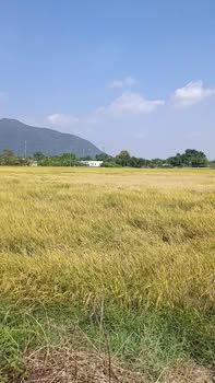 Đất nền Long Hương Bà Rịa 191m² giá 700 triệu - Cơ hội đầu tư hiếm có!