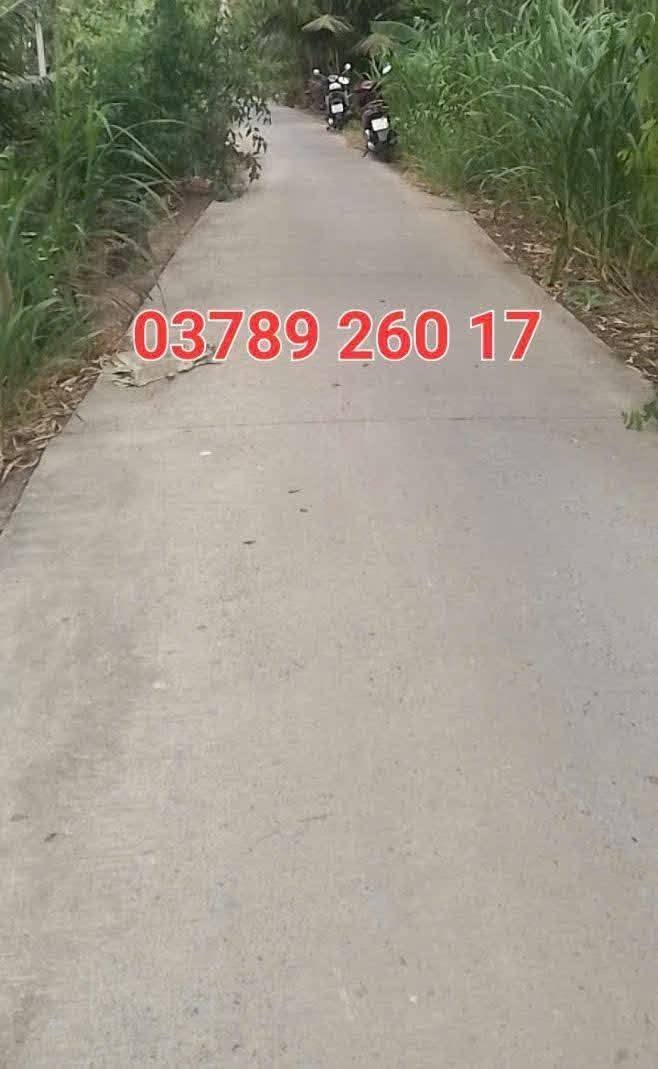 Đất mặt tiền Đan 3m, xã Bình Thạnh, 2500m² giá 1.029 tỷ - Cơ hội đầu tư tuyệt vời!