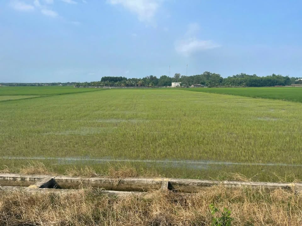 Đất Farm ấp Ong Tô, Xuyên Mộc 25.920m² giá 5.04 tỷ - Cơ hội đầu tư tuyệt vời!