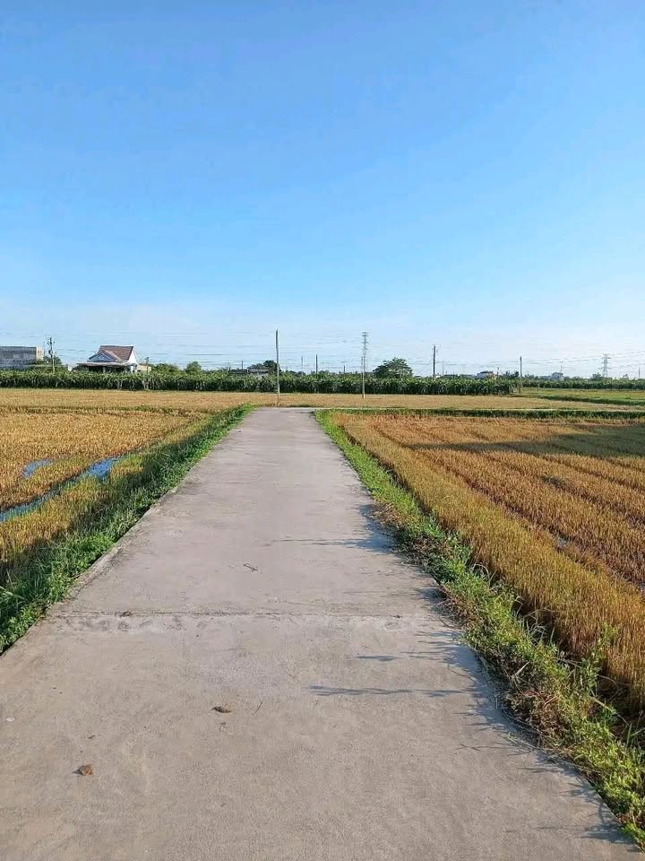 Đất nông nghiệp 1200m² Kim Bình, Hàm Thuận Bắc giá 950 triệu - Đầu tư sinh lời hấp dẫn!