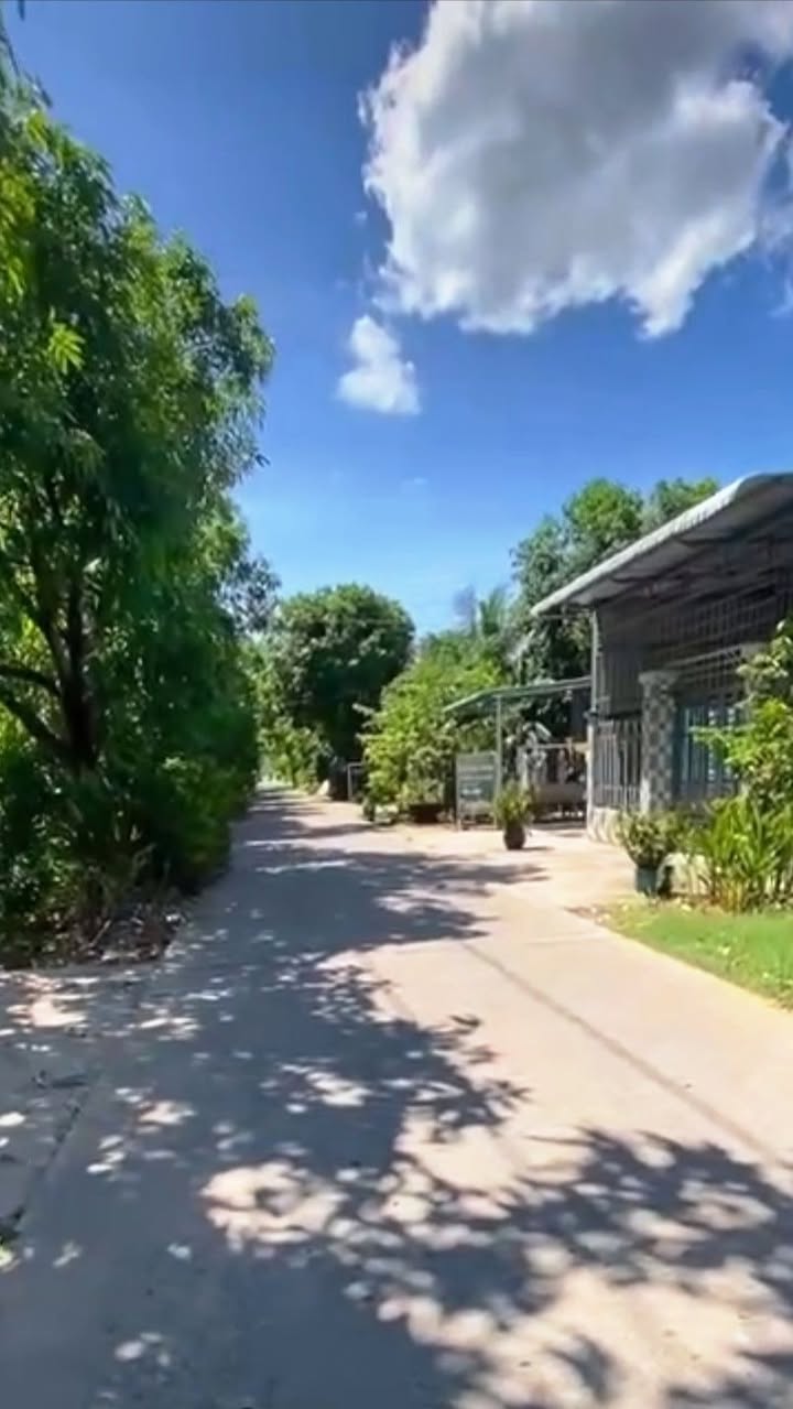 Đất nền Tân Thuận Tây, Cao Lãnh 294m² giá chỉ 2.5 tỷ - Đầu tư sinh lời ngay!