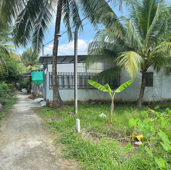 Đất nền 6A Nguyễn Chí Thanh, 150m² giá 490 triệu - Đầu tư sinh lời tiềm năng!