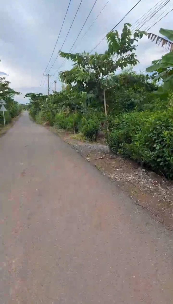 Đất mặt đường nhựa 15625m² tại Bàu Cạn, Long Thành - Giá chỉ 29 tỷ, giảm sốc 5 tỷ!