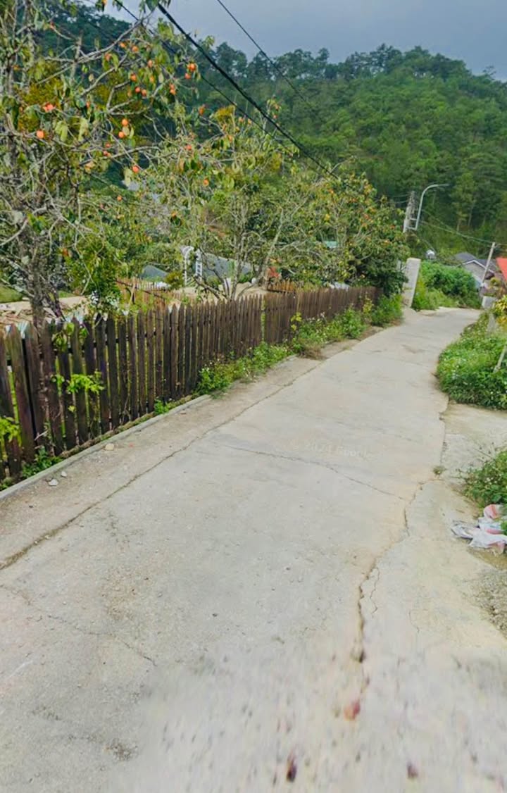 Nhà bán gấp Trần Quang Diệu Đà Lạt 80m² giá 490 triệu - Cơ hội đầu tư tuyệt vời!