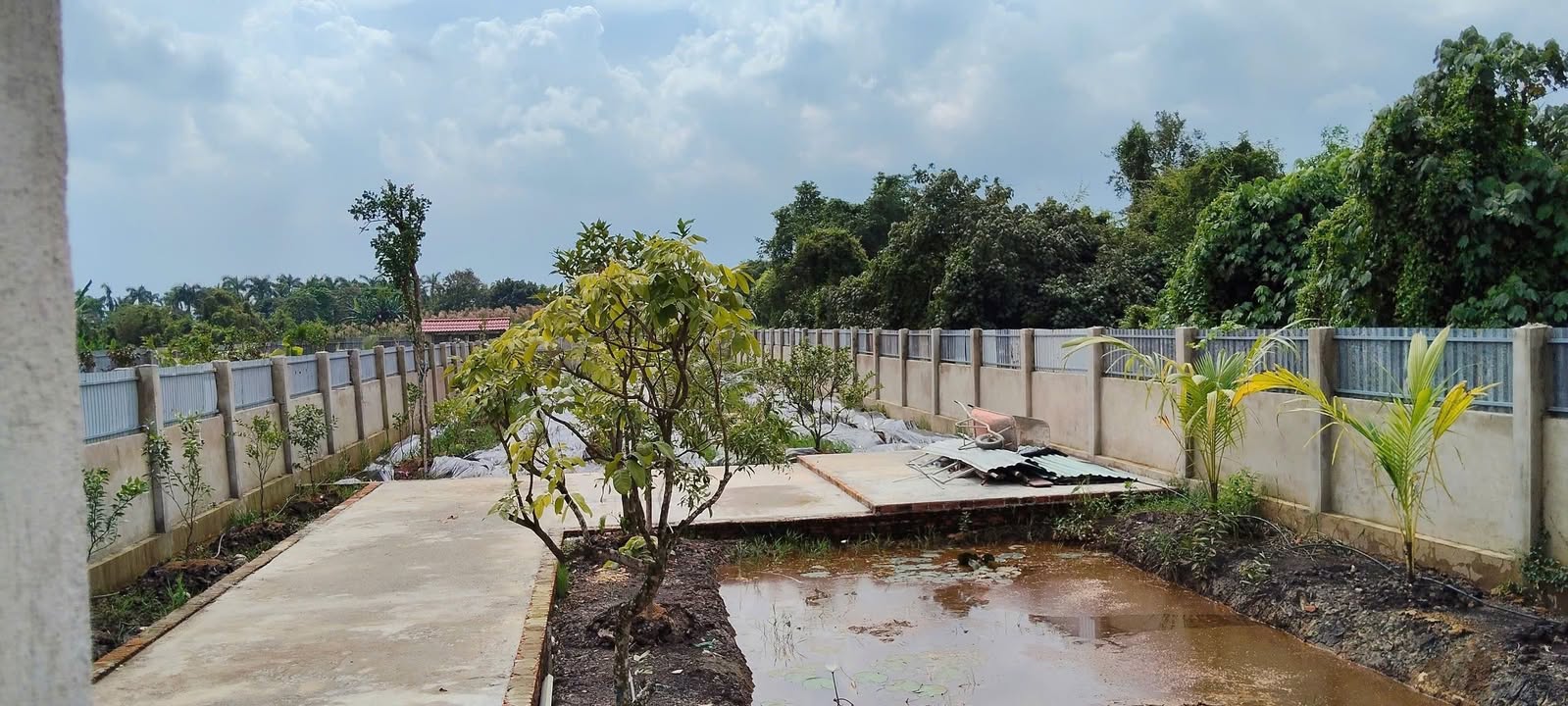 Đất vườn Bình Mỹ 1020m² giá 4 tỷ - Mát mẻ giáp sông