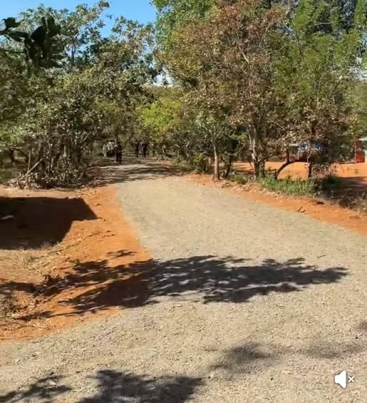 Đất nền xã Tân Lợi, Hớn Quản 30000m² giá thỏa thuận - Đầu tư lý tưởng cho vườn cây!