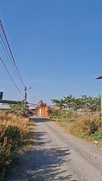 Đất thổ cư 385m² tại Ấp Thạnh Lợi, Tây Ninh - Giá chỉ 1.2 tỷ, thương lượng!