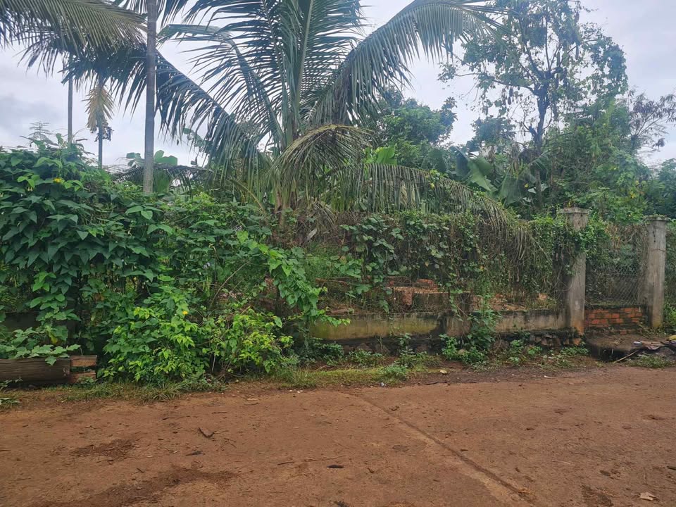 Đất nền Xã Quảng Tiến, Huyện Cư M'gar 132m² giá 550 triệu - Thương lượng ngay!