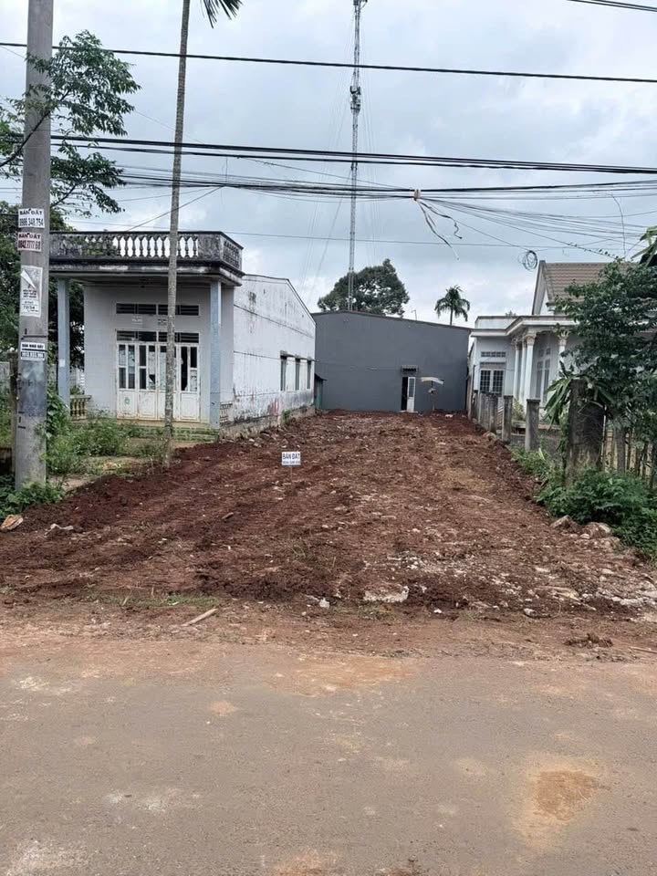 Đất mặt tiền Nguyễn Xuân Nguyên, Buôn Ma Thuột 222m² giá 4.3 tỷ - Tiềm năng sinh lời cao!