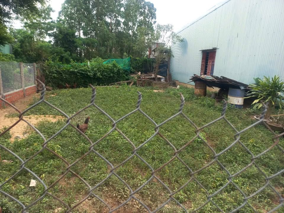 Đất nền đẹp phường Nhơn Thành, An Nhơn 152m² giá 400 triệu - Cơ hội đầu tư tuyệt vời!