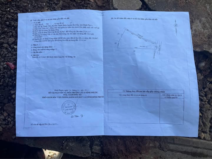 Đất nền 2364m² Thị Trấn Thanh Bình giá 800 triệu - Đầu tư sinh lời dài hạn!