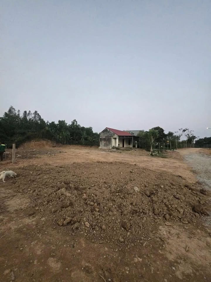 Đất ở Xã Hải Long, Huyện Như Thanh 600m² giá 1.5 tỷ - Vị trí đắc địa ngay trung tâm!